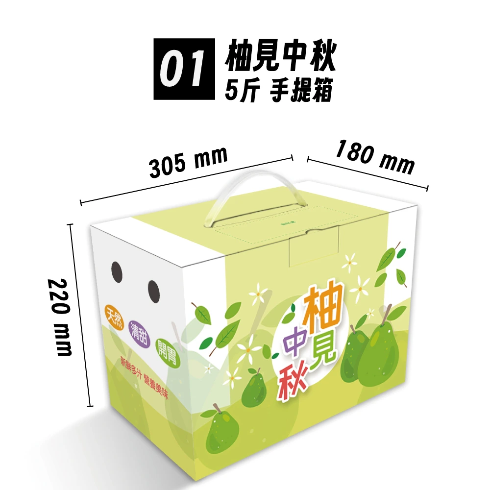 文旦,柚子,5斤,紙箱,禮盒,彩盒,水果提盒,公版紙盒,碧豐紙品,包裝設計