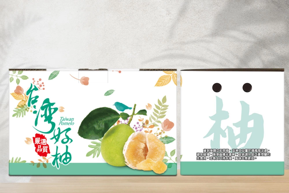文旦,柚子,10斤,紙箱,禮盒,彩盒,水果提盒,公版紙盒,碧豐紙品,包裝設計